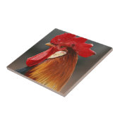 Carreau Coq domestique de la ferme (Côté)