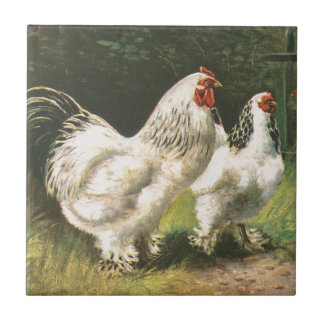 Carreau Coq et poule