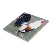 Carreau Coq Hawaii Hanauma Bay (Côté)