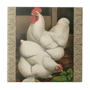 Carreau Coq & Hen à l'extérieur Hen House avec frontière b