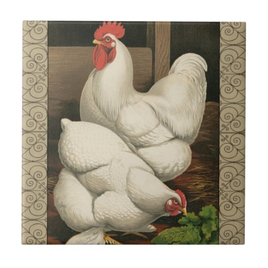 Carreau Coq & Hen à l'extérieur Hen House avec frontière b (Devant)