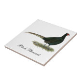 Carreau Coq noir de faisan (Côté)