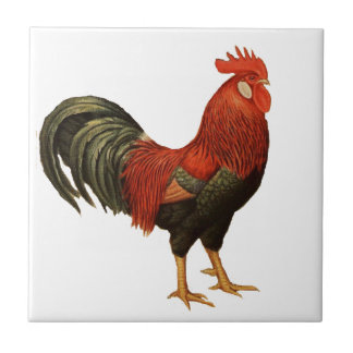 Carreau Coq rouge de leghorn