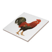 Carreau Coq rouge de leghorn (Côté)