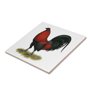 Carreau Coq Rouge Noir de Combat Américain