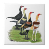 Carreau Coqs modernes de jeu (Devant)