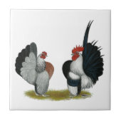 Carreau Coqs nains de Serama (Devant)