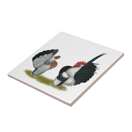 Carreau Coqs nains de Serama (Côté)