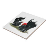 Carreau Coqs nains japonais chinés (Côté)