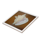 Carreau coque conique (Côté)