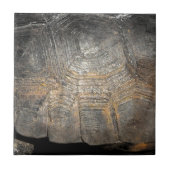 Carreau Coque de tortue Gopher (Devant)