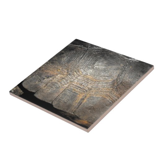 Carreau Coque de tortue Gopher (Côté)