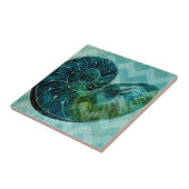 Carreau Coque spirale Turquoise (Côté)