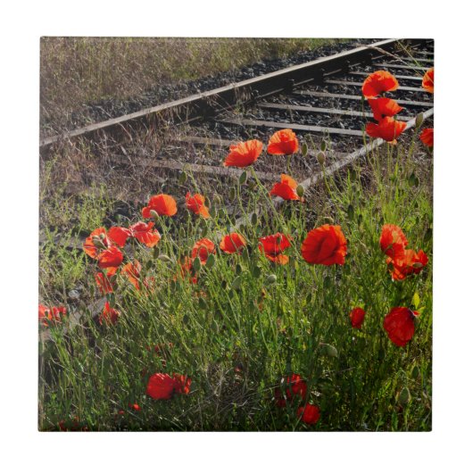 Carreau Coquelicot sauvage (Devant)
