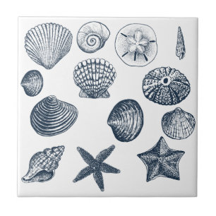 Carreau Coques bleu marine