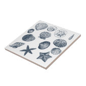 Carreau Coques bleu marine (Côté)