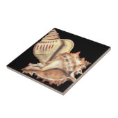 Carreau Coques de conques artistiques (Côté)