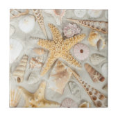 Carreau Coques de mer (Devant)