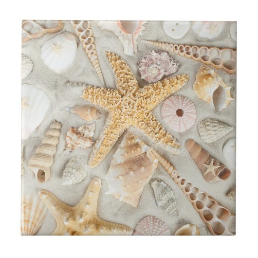 Carreau Coques de mer