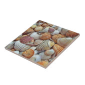 Carreau Coques de mer (Côté)