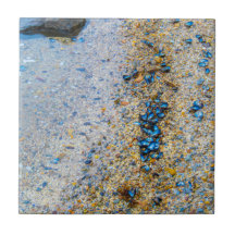 Coques de moules dans le Maine