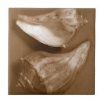 Carreau Coques sensuelles<br><div class="desc">Renee W. Stramel capture ces coquilles de conches dans un magnifique ton sépia. Cette oeuvre d'art vintage s'ajoute parfaitement aux amateurs d'anémones de mer. Obtenez votre impression artistique dès aujourd'hui sur votre produit.</div>