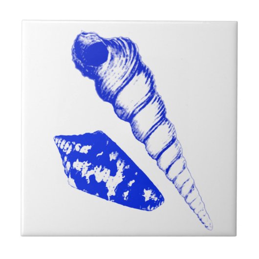 Carreau Coquillage - bleu cobalt et blanc (Devant)