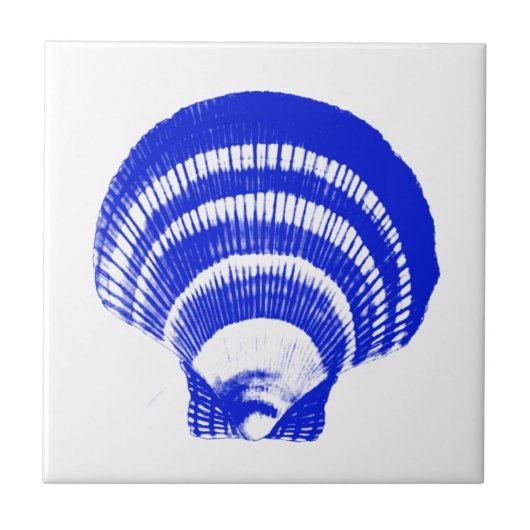 Carreau Coquillage - bleu et blanc de cobalt (Devant)