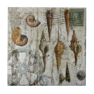 Carreau coquillage chic côtier blanchi rustique