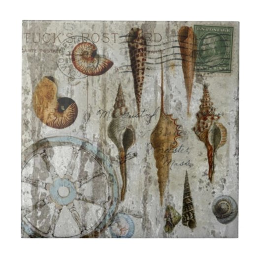 Carreau coquillage chic côtier blanchi rustique (Devant)