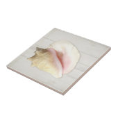 Carreau Coquillage côtier de Beach Conch Bois blanc (Côté)