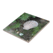 Carreau Coquillage dans le jardin (Côté)