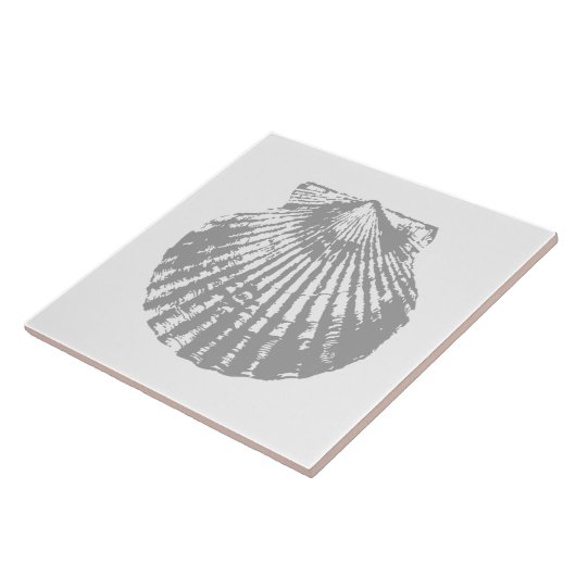 Carreau Coquillage de Shabby (Côté)