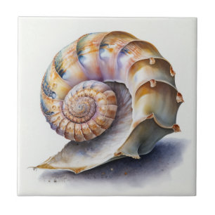 Carreau Coquillage en spirale en aquarelle pastel