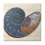 Carreau Coquillage romantique<br><div class="desc">Vivez-vous loin de la plage ? Pas de problème ! Profitez de ce tableau romantique de coquillages pour vous faire une image sur une plage paisible par beau temps. Cette oeuvre d'art romance la mer et les petites vagues qui vous laisseront rêver d'une visite à la plage. Obtenez ce panneau de...</div>