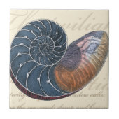 Carreau Coquillage romantique (Devant)