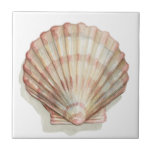 Carreau Coquillage rose et crème<br><div class="desc">Megan Meagher aime peindre des photos des belles collections océaniques. Elle saisit les plus belles offres naturelles de la nature dans la vie marine. Dans ce tableau classique et simple, il saisit la simplicité d'un bel coquillage crème et rose. Obtenez ce morceau d'art imprimé dès aujourd'hui pour ajouter à votre...</div>