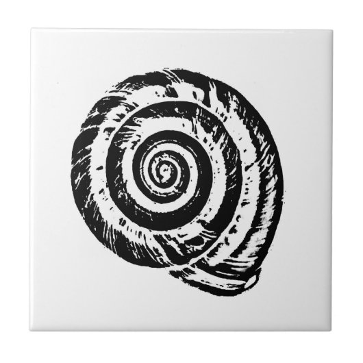 Carreau Coquillage spiral, noir et blanc (Devant)