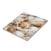 Carreau Coquillages (Côté)