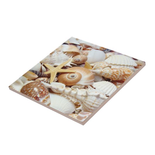 Carreau Coquillages (Côté)