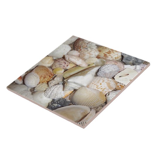 Carreau Coquillages (Côté)