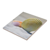 Carreau Coquillages colorés dans le sable (Côté)