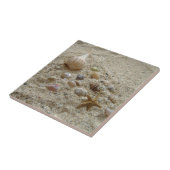 Carreau Coquillages Dans Le Sable (Côté)