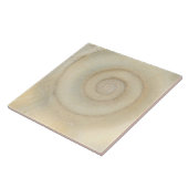 Carreau Coquille - Conchologie - Spirale blanche (Côté)