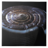 Carreau Coquille de cône (Devant)