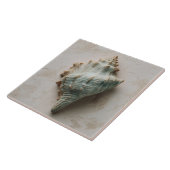 Carreau Coquille de Conque Côtière Aqua et Sable (Côté)
