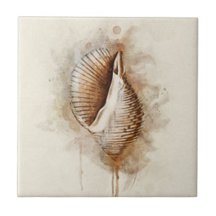 Carreau Coquille de la mer côtière tropicale