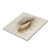 Carreau Coquille de la mer côtière tropicale (Côté)