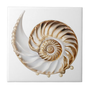 Carreau Coquille de nautile perle 3D lustre doré océan nau