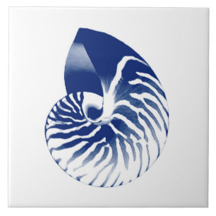 Carreau Coquille de Nautilus - bleu marine et blanc